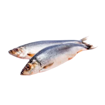 РЫБА СОЛЕНАЯ